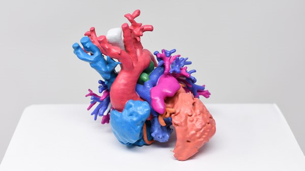 HP heart after 10 600px 16 9